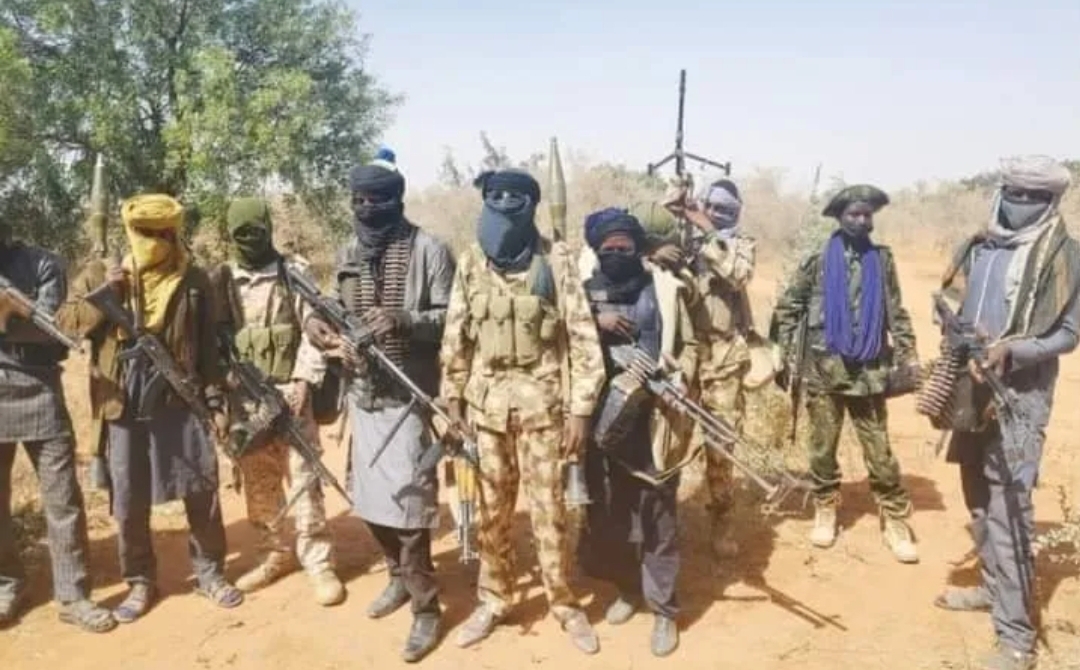 Troops, Armed Bandits Killed in Fierce Clashes Across Kaduna and Niger States