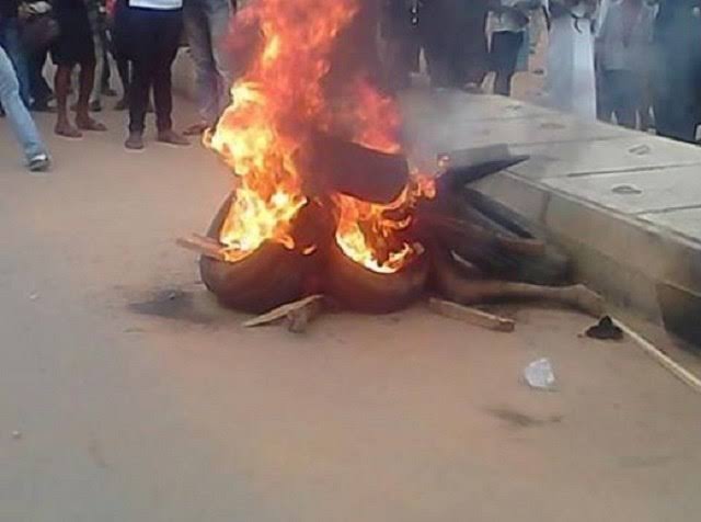Mob Burns Suspected Motorcycle Snatcher Alive in Makurdi