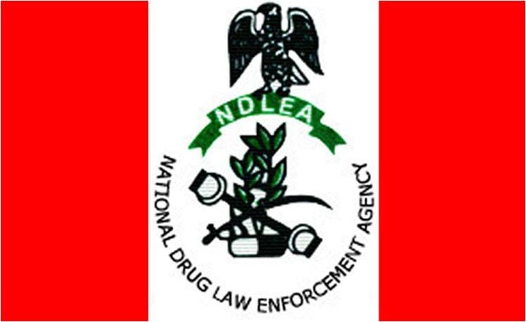 NDLEA Raises Alarm Over Fake ‘Medicinal Cannabis’ in Lagos, Arrests Suspect with 16kg of Illicit Drugs